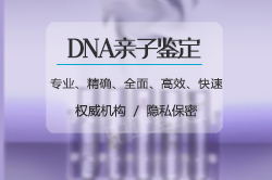 河北亲子鉴定机构出结果要多久