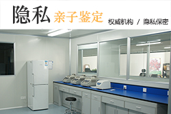 河北能办理DNA亲子鉴定吗，河北亲子鉴定办理指南