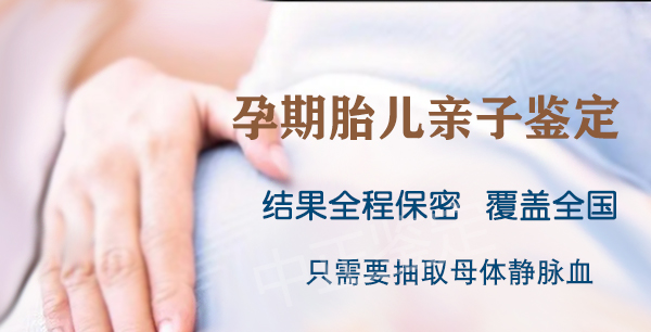 河北怀孕期间要如何办理怀孕亲子鉴定,河北做无创怀孕亲子鉴定大概多少费用