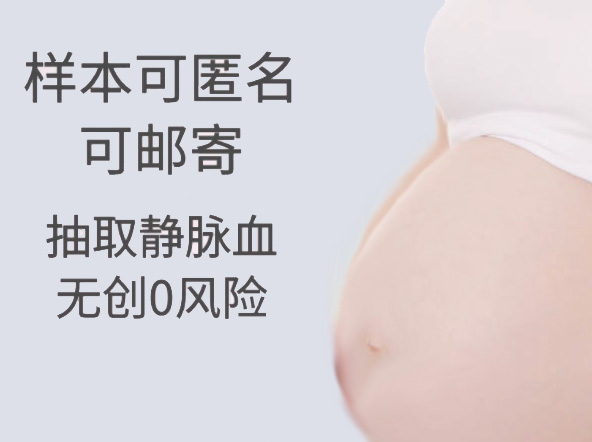 河北怀孕如何办理亲子鉴定,河北孕期办理亲子鉴定办理的流程