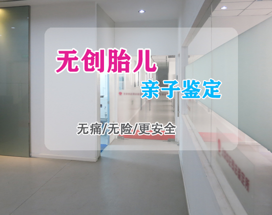 河北怀孕期间要如何办理怀孕亲子鉴定,河北做无创怀孕亲子鉴定大概多少费用