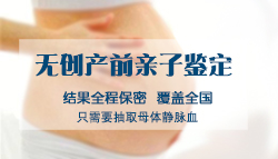 河北产前亲子鉴定需要什么材料和流程，河北产前亲子鉴定中心预约