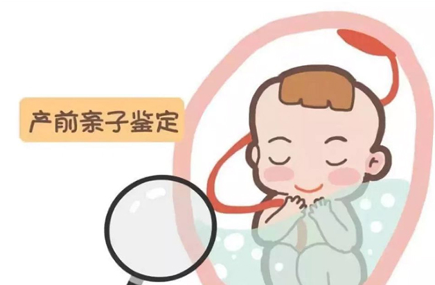 河北怀孕亲子鉴定去哪里办理,