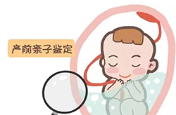 河北孕期如何偷偷做亲子鉴定，河北产前亲子鉴定准确吗