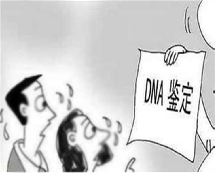 河北亲子鉴定机构如何做鉴定,河北亲子鉴定结果什么时候出来