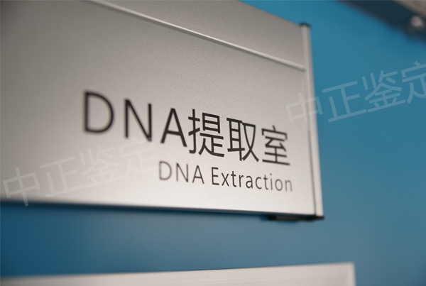 河北上学DNA亲子鉴定怎么做,