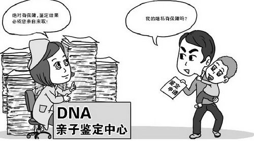 河北什么医院能办理亲子鉴定,河北医院办理亲子鉴定办理流程