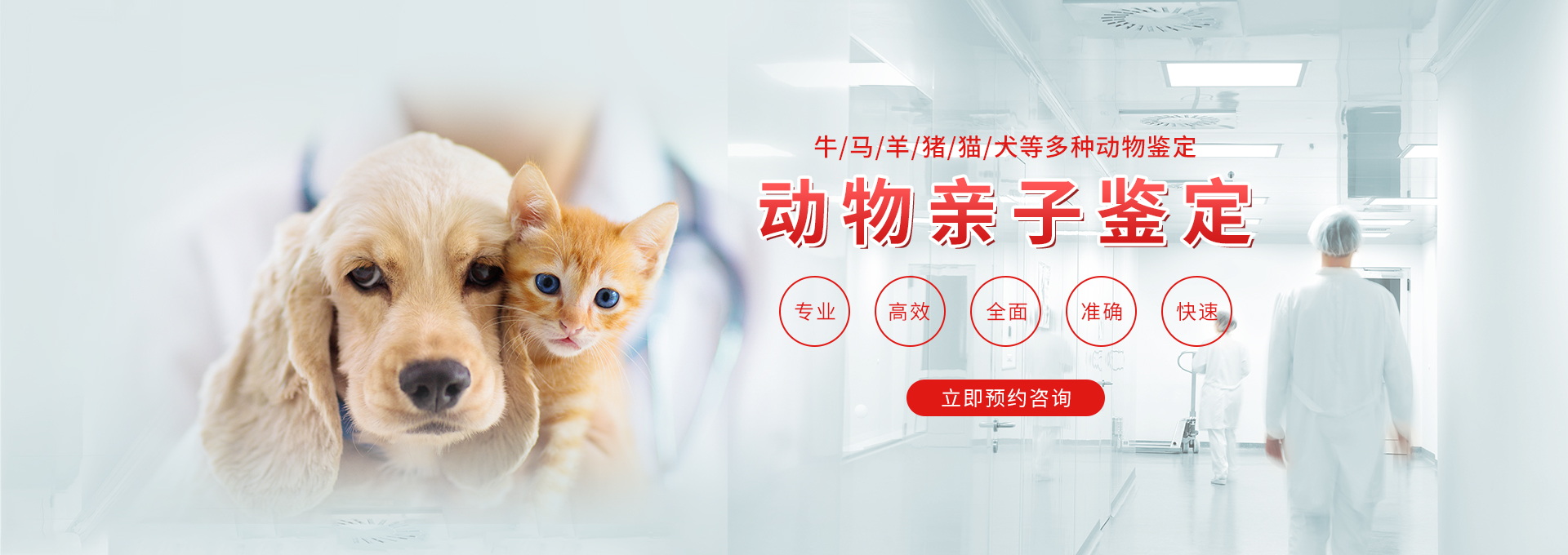 河北动物鉴定